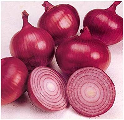 RED ONION